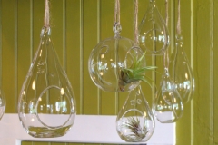 Glass Teardrop and Globe Hanging Terrariums